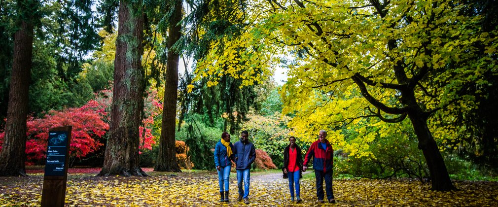 Westonbirt, The National Arboretum | Forestry England